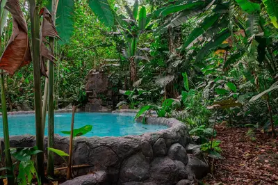 a small pool in the middle of a forest at Cerro Tusa Springs in Venecia