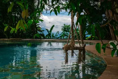 a swimming pool with a tree in front of it at Cerro Tusa Springs in Venecia