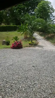 a gravel road with trees and flowers in a park at ENTREPALMAS in San Jerónimo