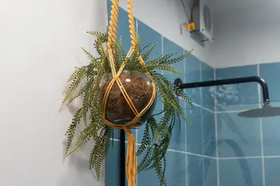 a plant in a vase hanging from a wall at Alojamiento económico en Medellín - NID104 By Roots Rentals in Medellín