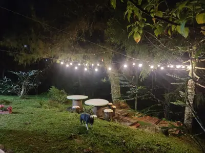 a dog standing in a yard at night with lights at Casa Rustica con chimenea en su interior, rodeado de los cuatro elementos tierra, fuego, aire y agua, ubicada en sector tranquilo, para descansar en familia o amigos, in Mazo