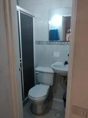 a bathroom with a toilet and a sink at Casa Rustica con chimenea en su interior, rodeado de los cuatro elementos tierra, fuego, aire y agua, ubicada en sector tranquilo, para descansar en familia o amigos, in Mazo