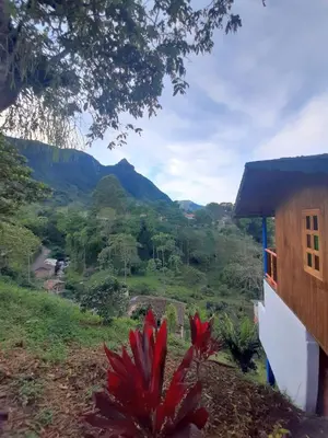 a view from a house with a red plant in the foreground at Jaibaná Spa in Támesis