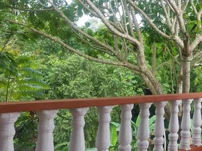 Gallery image of Cabaña Campestre in Puerto Triunfo