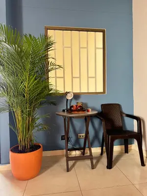 a table and a chair and a plant in a room at Apartamento Relax in Medellín