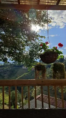 a porch with potted plants hanging from a fence at Unique Glamping / Domo Betsaida in Guatapé