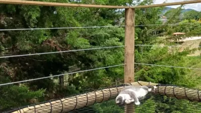 a white cat laying on top of a fence at Unique Glamping / Domo Betsaida in Guatapé