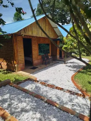 a log cabin with a blue roof at Cabañas orquídea in Norcasia