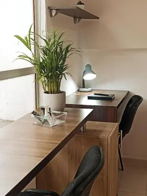 an office with a wooden desk with chairs and a plant at Laureles Guest House LGH Hotel in Medellín