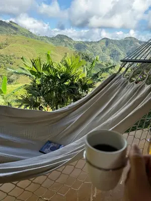 a cup of coffee and a hammock on a porch at Casa Mostaza-Ecolodge in Samaná