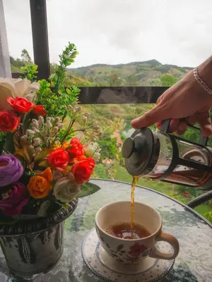 a person pouring coffee into a cup on a table at Descanso Bajo La Piedra Del Peñol in Guatapé