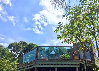 a glass building with trees in the background at PrivaDome in Rionegro