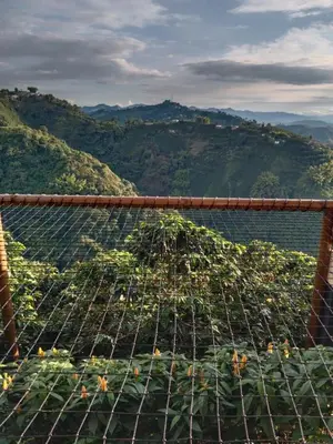 a cage filled with plants on top of a mountain at Atardeceres del Cafe in Manizales