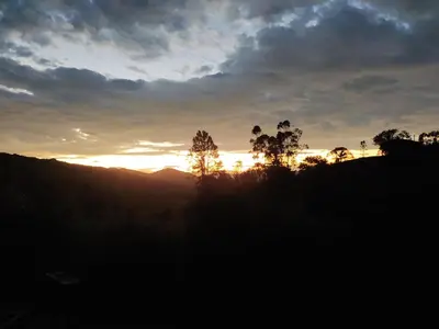 a sunset in a field with trees in the foreground at Cabaña Momotus I in Concepción