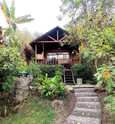 a house with a walkway in front of it at Cabaña Momotus I in Concepción