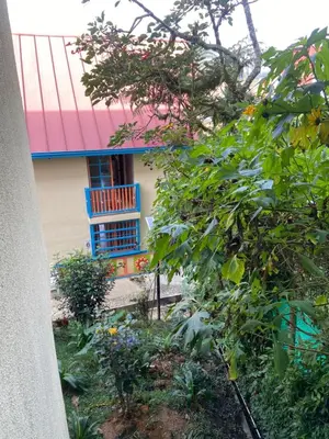 a building with a blue window and a tree at Aparta Hotel Jardines de Guatape By Hope in Guatapé