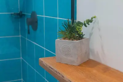 a plant sitting on a shelf in a bathroom at Arrendamiento nuevo apartamento con balcón By Roots Rentals NID202 in Medellín