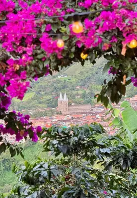 a view of a city with pink flowers at Cabañas Sentido Ancestral in Jardin
