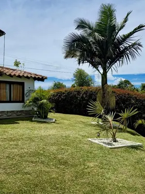 a palm tree in a yard next to a house at Finca Completa Carmen Viboral Naturaleza y Privacidad in Carmen de Viboral
