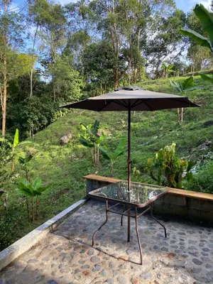 a table with an umbrella on a patio at River house in Jardin