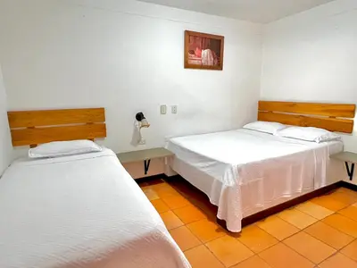 a room with two beds and a picture on the wall at HOTEL MONTE VERDE in Concordia