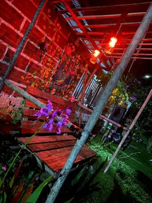 a bunch of purple flowers sitting next to a wooden bench at Finca Alto Bonito in Doradal