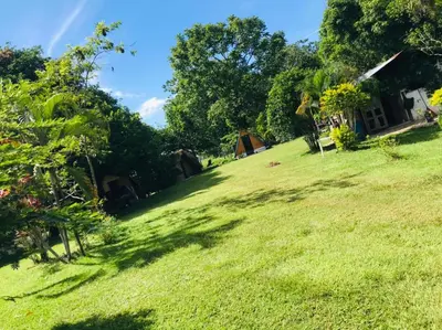 a field of grass with trees and a house at Finca Alto Bonito in Doradal