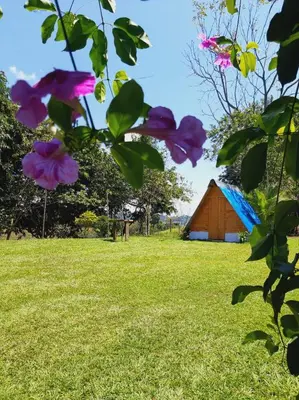 a field with purple flowers and a barn in the background at Finca Alto Bonito in Doradal