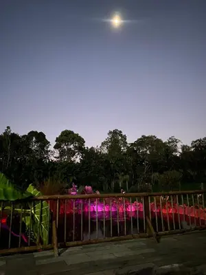 a view of the moon over a garden at night at Chalet del lago Santa Elena in Santa Elena