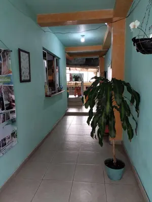a hallway with a potted plant in a building at Casa Hotel Los Faroles- Samaná/Caldas in Samaná