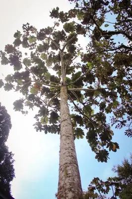 Gallery image of Vital Ecohotel Cabañas in Guarne