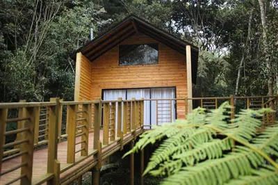 Gallery image of Vital Ecohotel Cabañas in Guarne