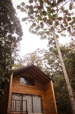 Gallery image of Vital Ecohotel Cabañas in Guarne