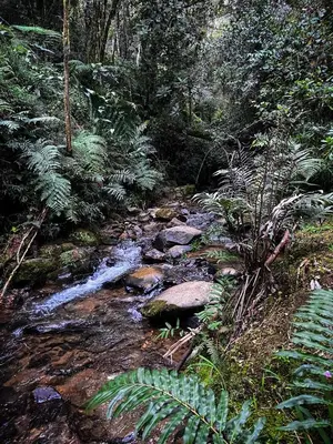 Gallery image of Vital Ecohotel Cabañas in Guarne