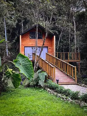 Gallery image of Vital Ecohotel Cabañas in Guarne