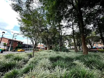 a field of grass with trees and a street at ApartaStudio El Poblado in Medellín