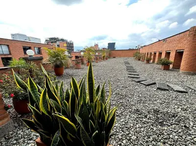 a courtyard with a bunch of plants and buildings at ApartaStudio El Poblado in Medellín
