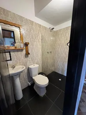 a bathroom with a toilet and a sink at Jardin de los Silleteros Agro Parque Hotel in Santa Elena