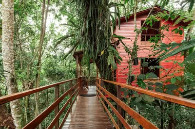 a wooden bridge leading to a red house in the forest at Tominejo Ecolodge - Casas en los árboles in Neira
