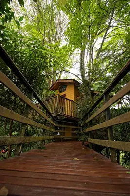 a house on a bridge with a wooden walkway at Tominejo Ecolodge - Casas en los árboles in Neira