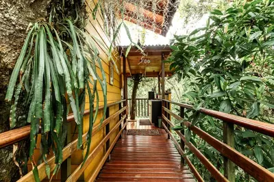 a wooden walkway leading to a house in the jungle at Tominejo Ecolodge - Casas en los árboles in Neira