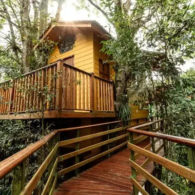Tominejo Ecolodge - Casas en los árboles
