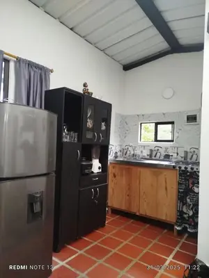 a kitchen with a stainless steel refrigerator and a sink at Hospedajes el Jardin cabaña in Concepción