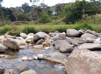 a stream of rocks and water with trees in the background at Hospedajes el Jardin cabaña in Concepción