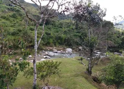 a river in the middle of a field with trees at Hospedajes el Jardin cabaña in Concepción