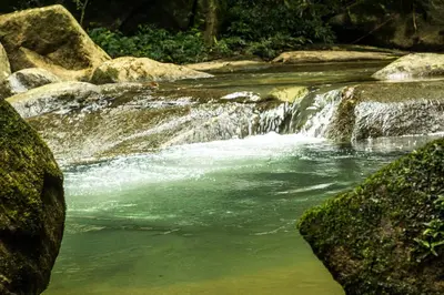 a stream of water in a river with rocks at Camelia Hostel in San Carlos