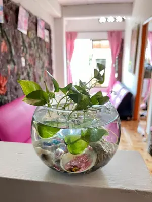 a glass vase with a plant in it on a table at Apartamento Barbie 3 in Mutatá