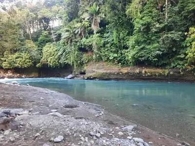 a river in the middle of a forest at Apartamento Barbie 3 in Mutatá