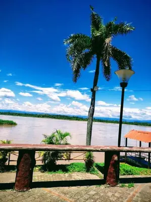 a bench with a palm tree next to a river at Cabaña 41, aldea Doradal Santorini Colombiano in Puerto Triunfo