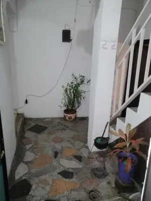 a hallway with a floor with a plant in it at Casa de relajación low cost! in La Dorada